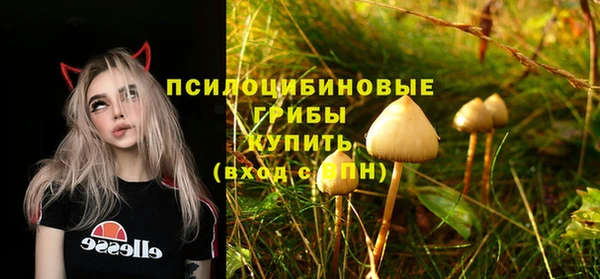 гидропоника Армянск
